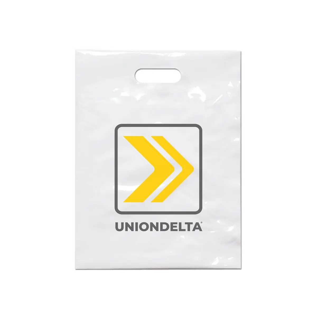 Пакет UNIONDELTA, ПВД, белый, 30х40 см